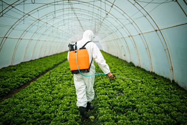 Best Ant Control Services  in Meadow Les, AK